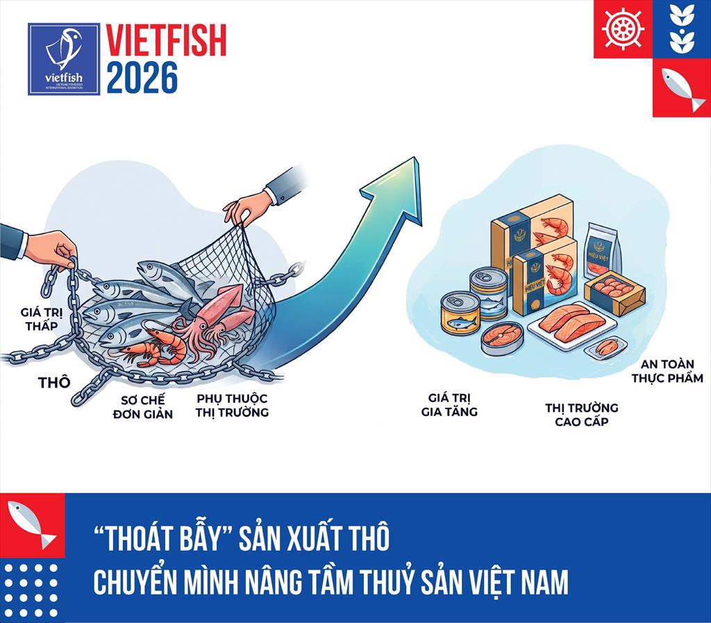 Thoát bẫy xuất khẩu thô giá rẻ Bước chuyển mình nghìn tỷ của ngành thủy sản Việt Nam 
