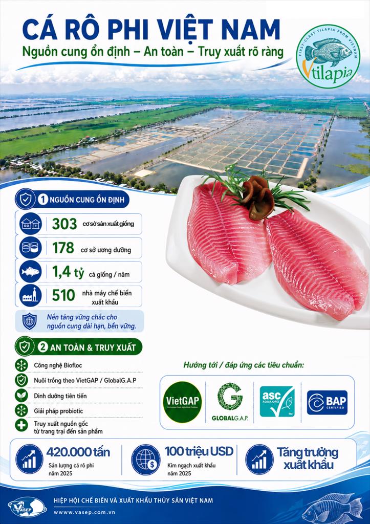 Infographic cá rô phi Việt Nam nguồn cung ổn định - an toàn - truy xuất rõ ràng