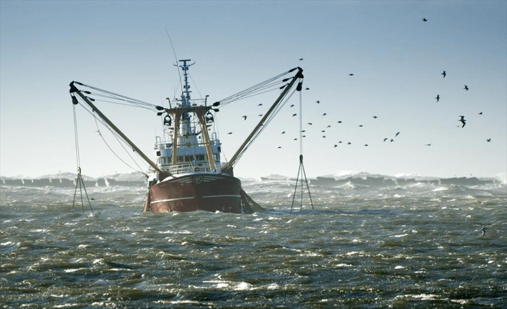 Nền tảng AI IUU+DB giúp theo dõi gian lận thủy sản và vi phạm môi trường toàn cầu