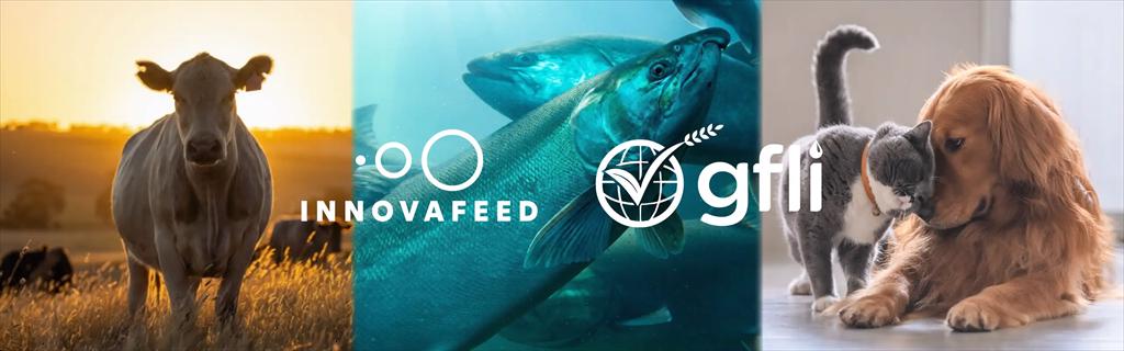 Innovafeed (Pháp) huy động 51 triệu EUR để mở rộng sản xuất protein côn trùng