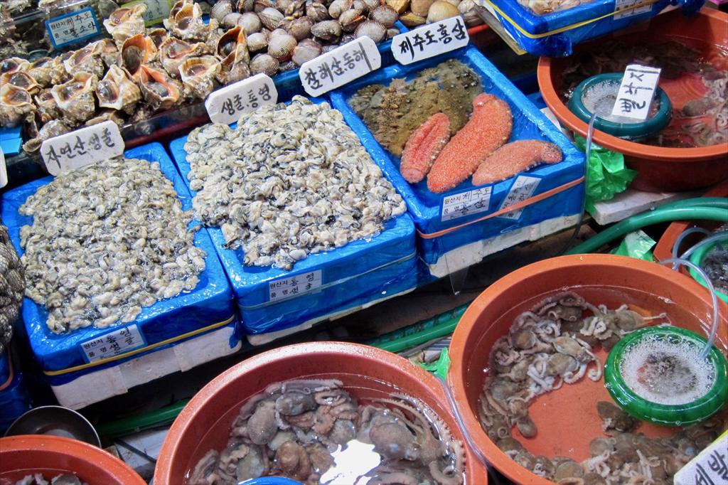 Doanh nghiệp Nga – Hàn tìm cơ hội thúc đẩy xuất khẩu thủy sản Viễn Đông