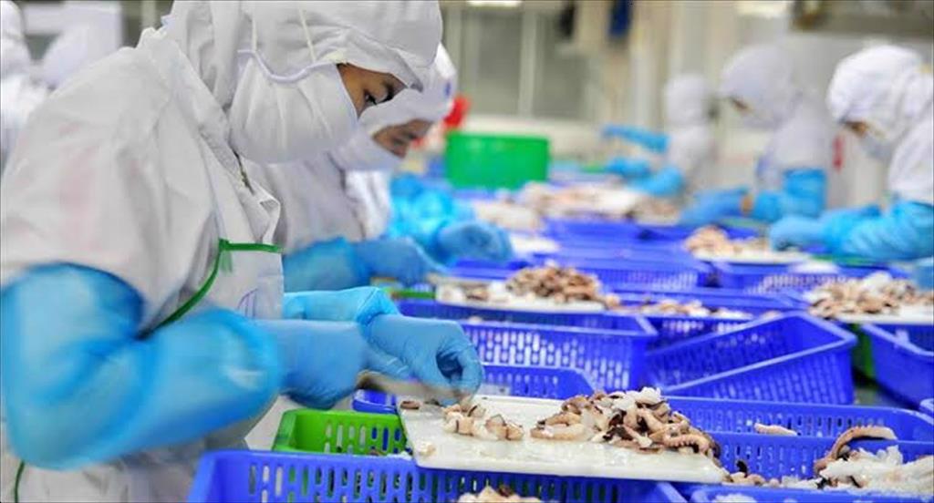 5 địa phương phản hồi kiến nghị của VASEP về tháo gỡ điểm nghẽn xuất khẩu thủy sản