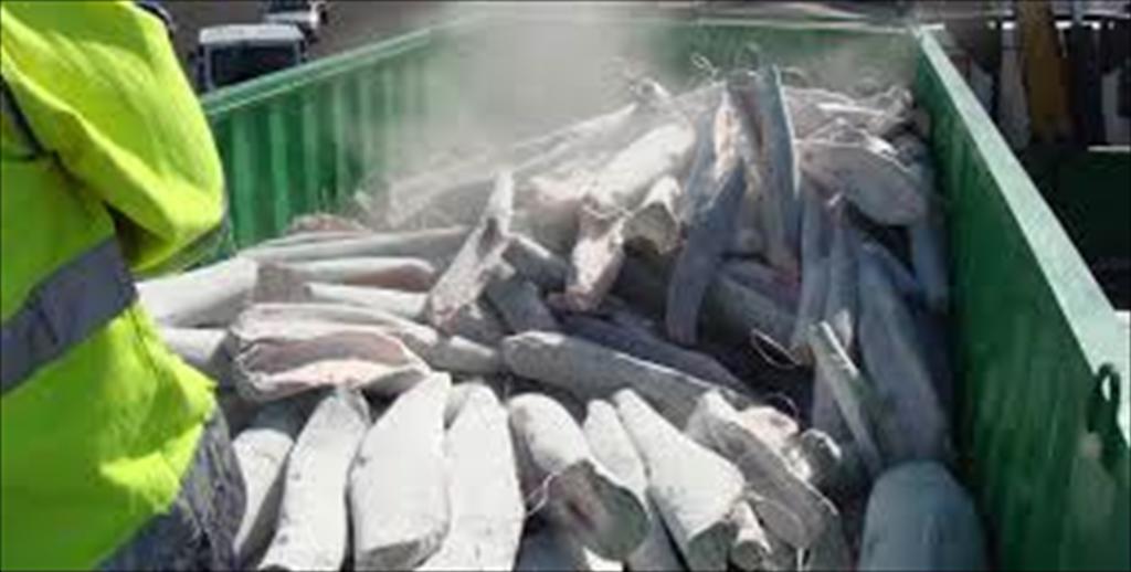 EU được đề nghị hoàn thiện hệ thống CATCH