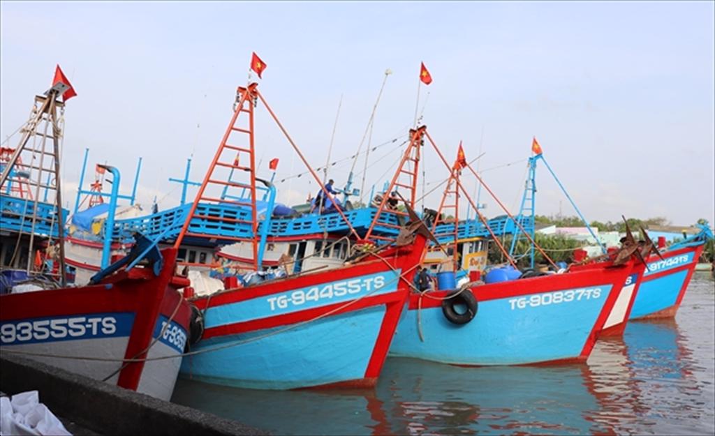 Đồng Tháp strengthens efforts to tackle illegal fishing