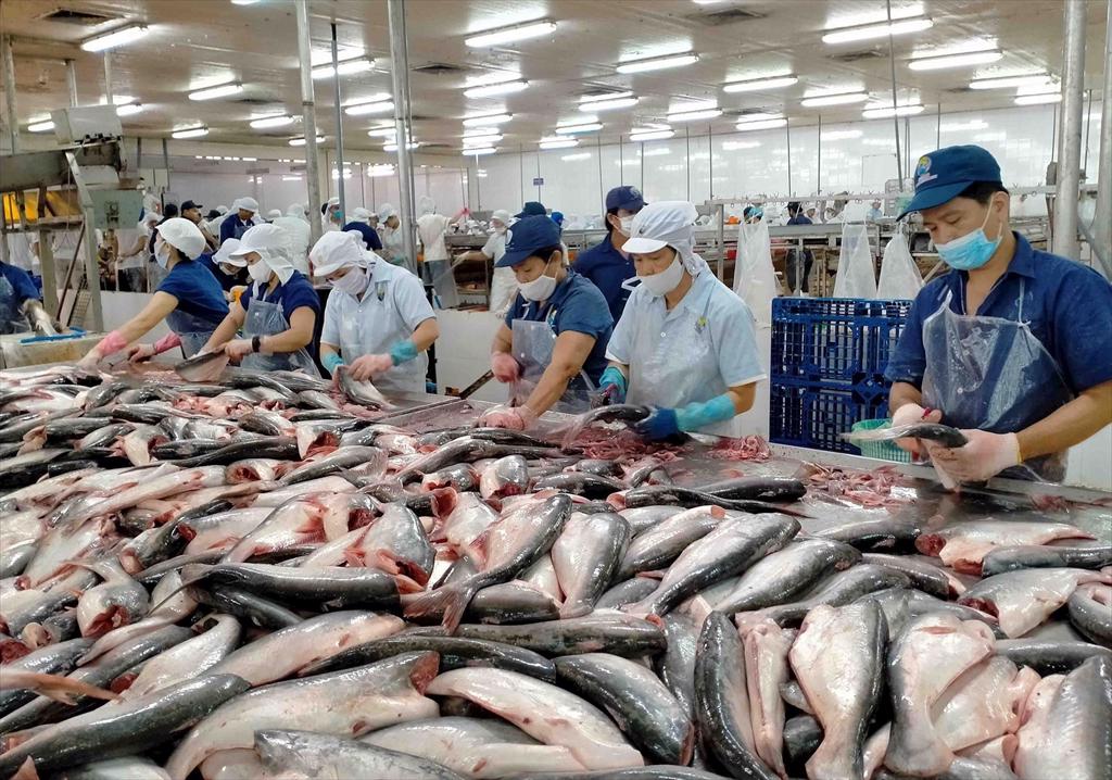 EFTA deal provides fresh opportunities for seafood exports
