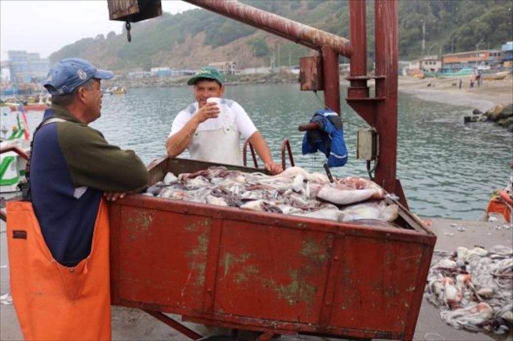 Chile - Mexico thúc đẩy đồng quản lý nghề cá quy mô nhỏ