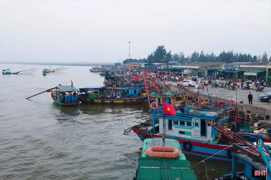 In the first six months of the year, Ha Tinh province earned over 1.2 trillion VND from seafood exploitation
