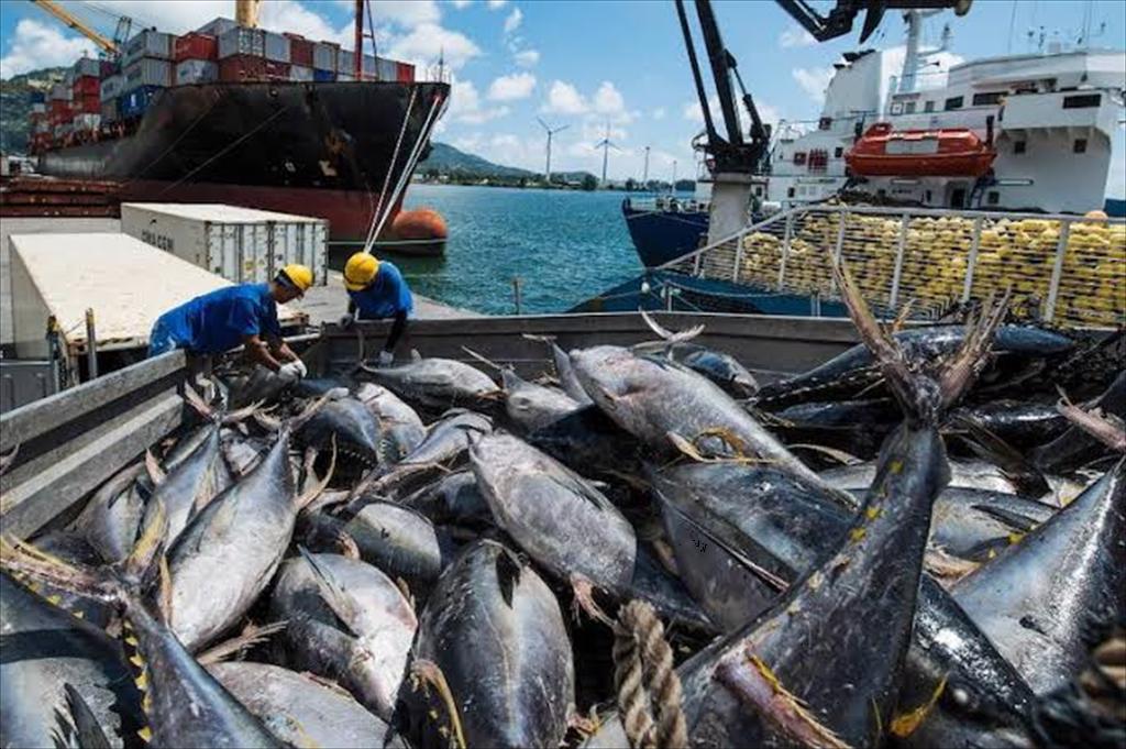EU và Seychelles ký nghị định thư nghề cá mới, khôi phục hoạt động khai thác cá ngừ tại Ấn Độ Dương 