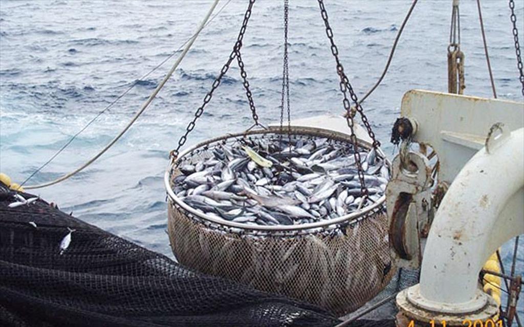 Nguy cơ “Siêu El Niño” đe dọa ngành thủy sản toàn cầu 