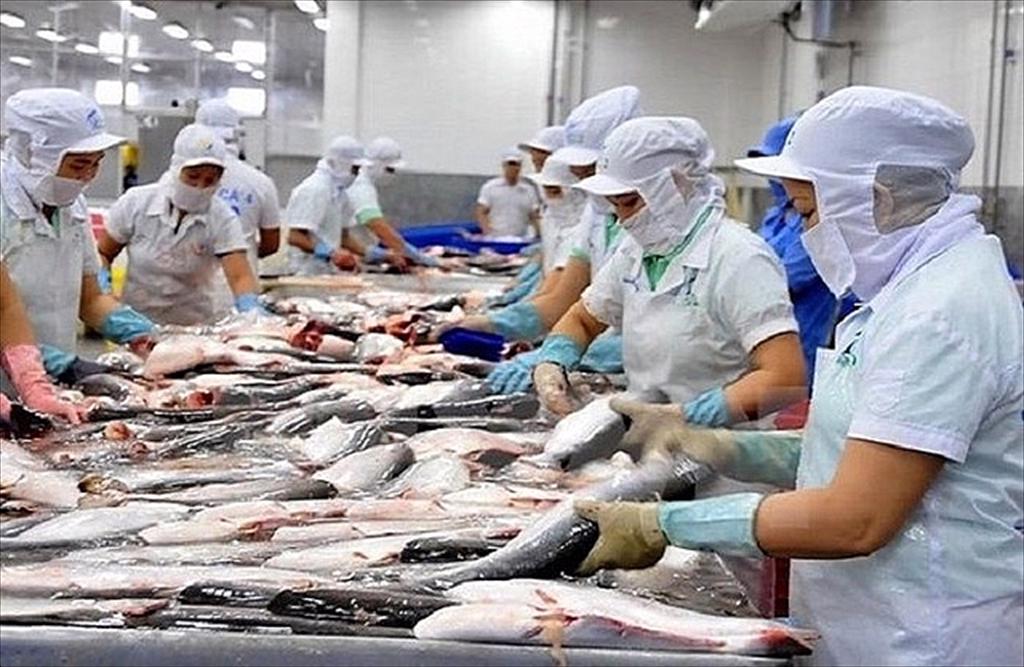 Seafood exports stay above US$1 billion in July Growth momentum likely to slow as US tariffs begin to “filter through” to orders
