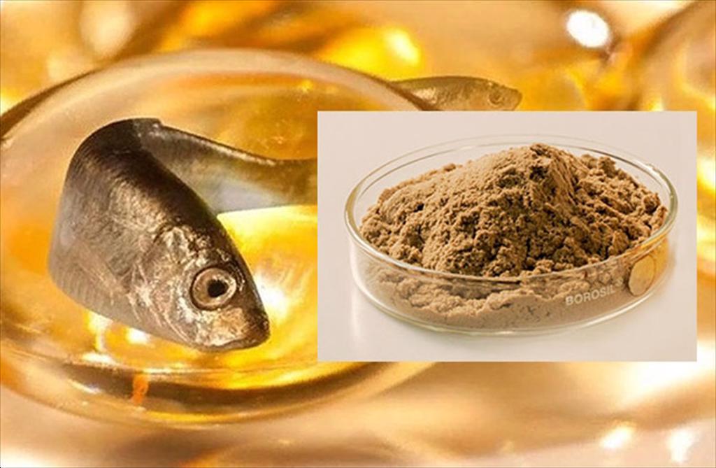 Nguồn cá nổi suy giảm, doanh nghiệp bột cá Nam Phi phải thích ứng