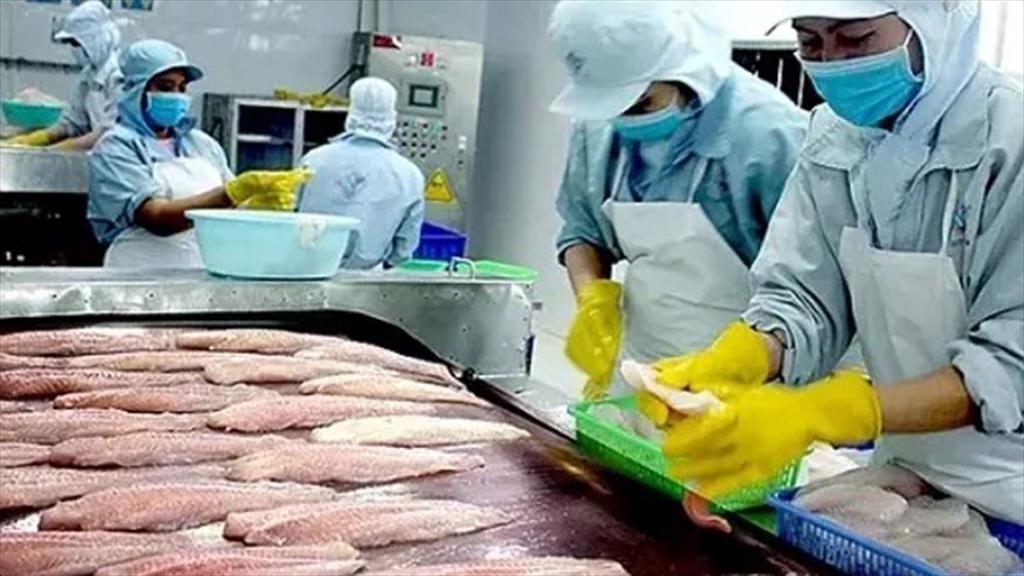Vietnam’s seafood exports near record $12 billion but hurdles mount