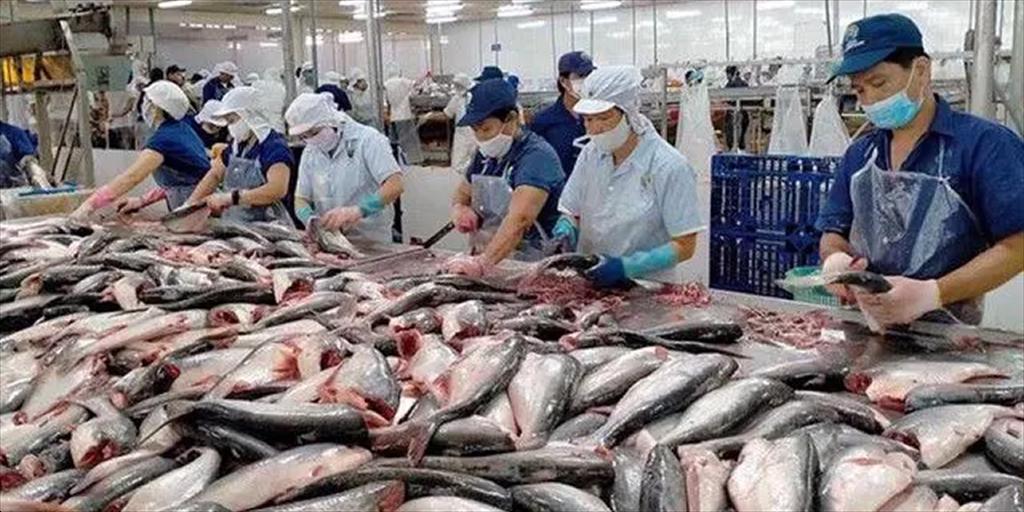 Indonesia lần đầu xuất khẩu cá trê ướp sang Đài Loan 