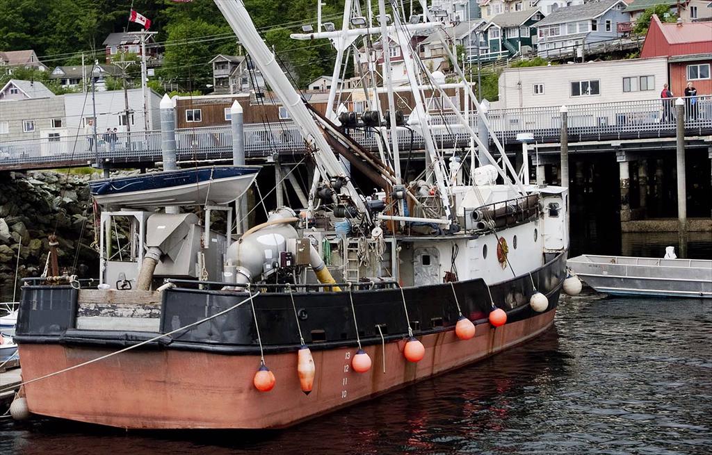 Ngành thủy sản EU kiến nghị cải thiện hệ thống CATCH chống khai thác IUU