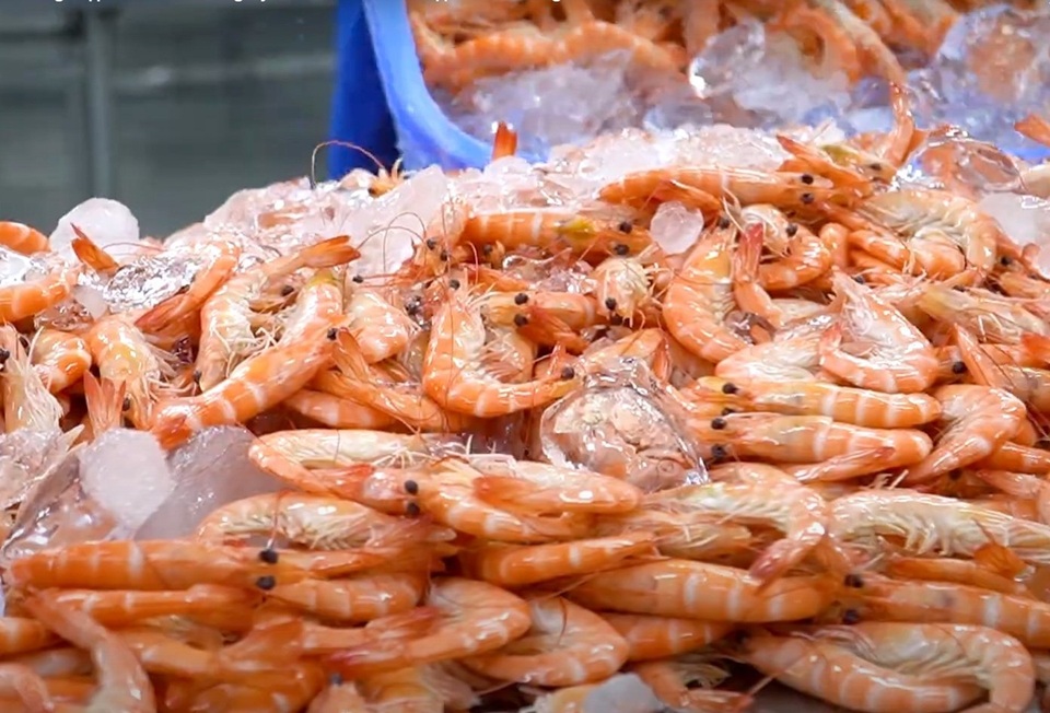 Xuất khẩu tôm 7 tháng đầu năm Điểm sáng và những sức ép mới