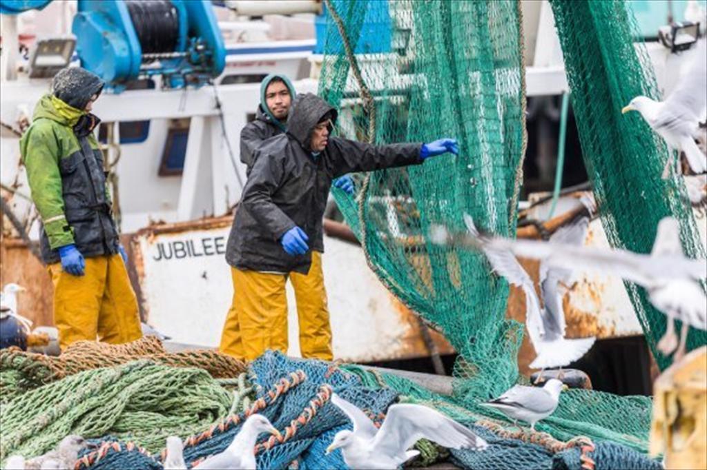 Seafish được cấp 1,4 triệu bảng để mở rộng đào tạo nhân lực ngành thủy sản Anh