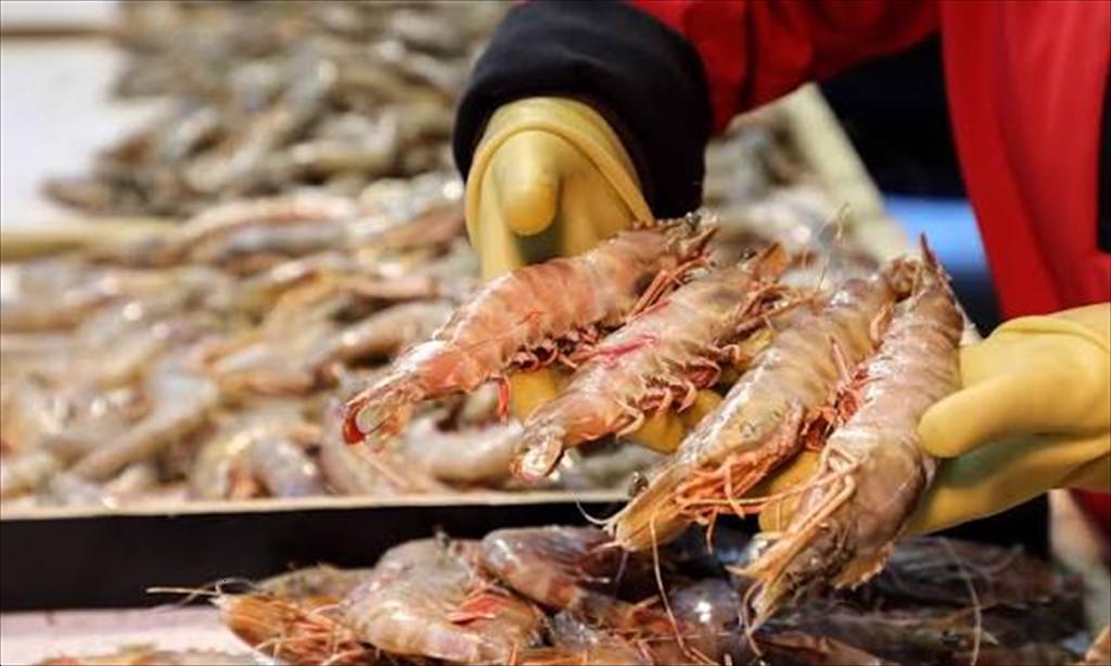 SSP kết nạp 3 thành viên mới, mở rộng hợp tác phát triển ngành tôm Ecuador