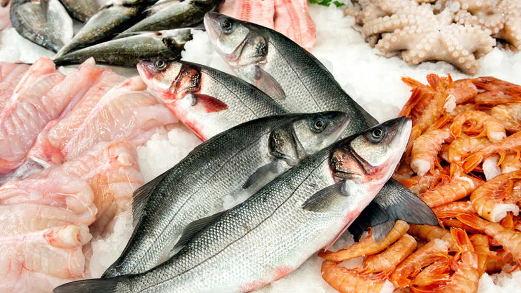 Nga hướng tới mở rộng xuất khẩu thủy sản sang Mỹ Latinh