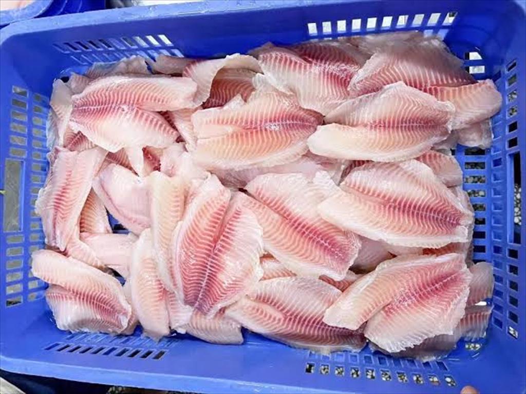 Nguồn cung cá rô phi Trung Quốc thiếu hụt, áp lực có thể kéo dài đến đầu năm 2027