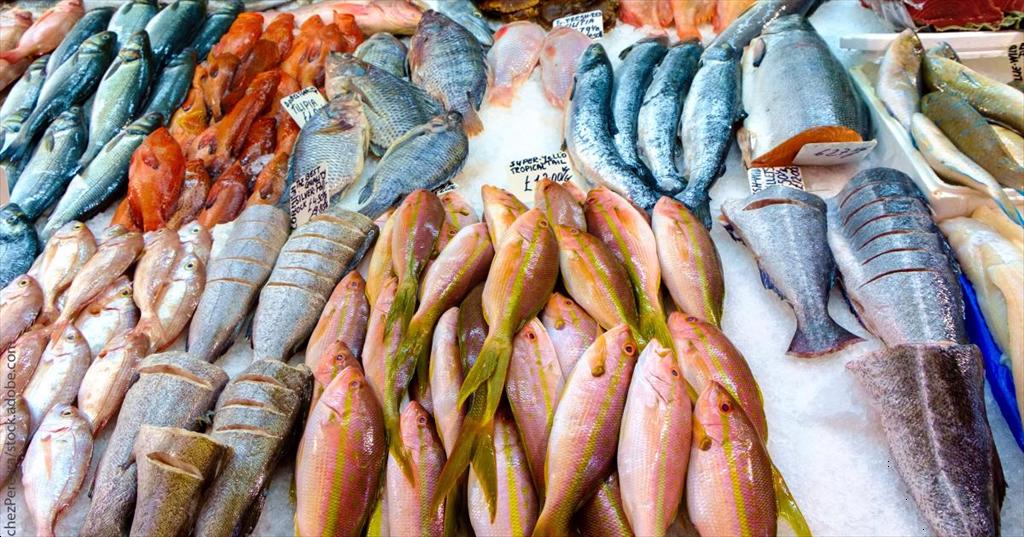 Nguồn cung cá từ Nga sang Liên minh châu Âu tăng
