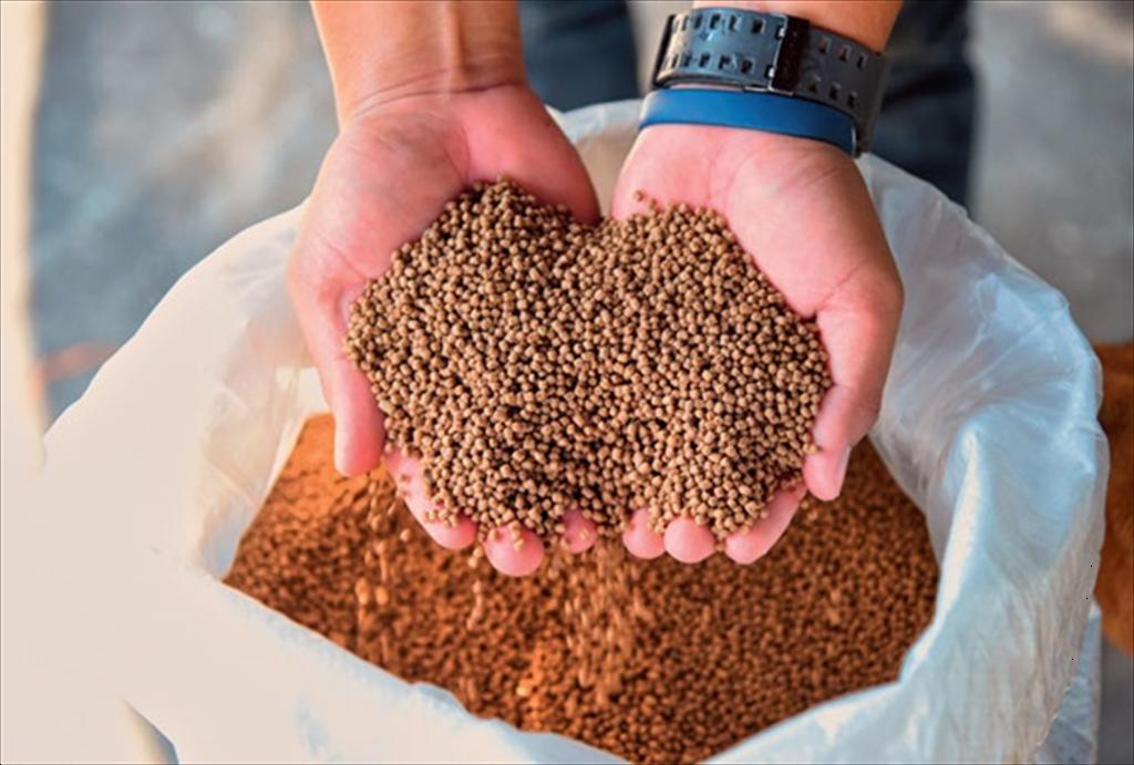 GFLI chuẩn bị ra mắt công cụ dữ liệu môi trường cho nguyên liệu thức ăn biển