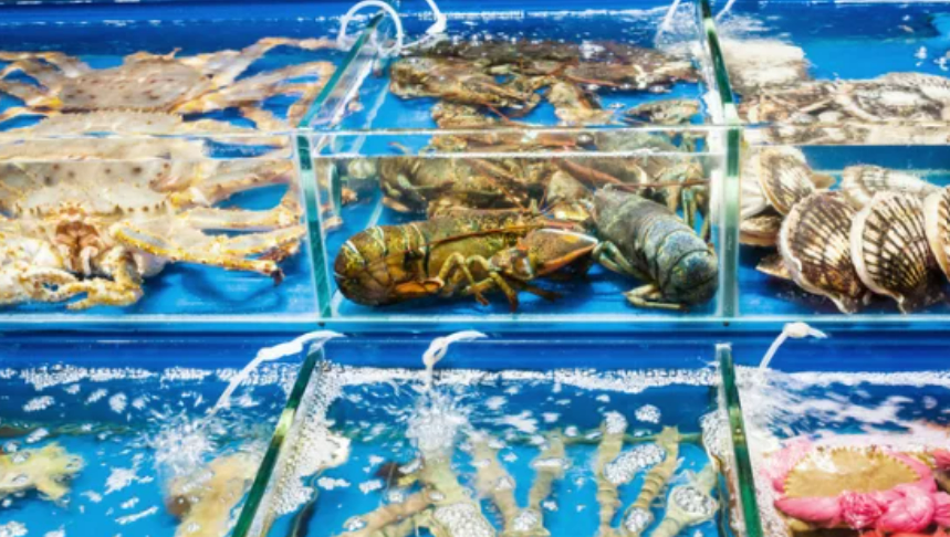 Trung Quốc tăng mạnh nhập khẩu thủy sản, xuất khẩu chịu áp lực giá