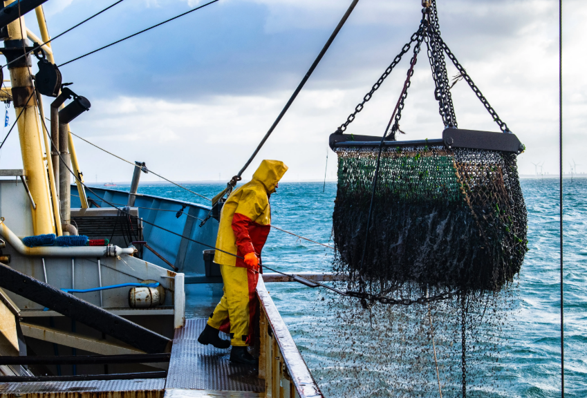 NOAA kêu gọi đề xuất địa điểm phát triển vùng nuôi trồng thủy sản tại Mỹ