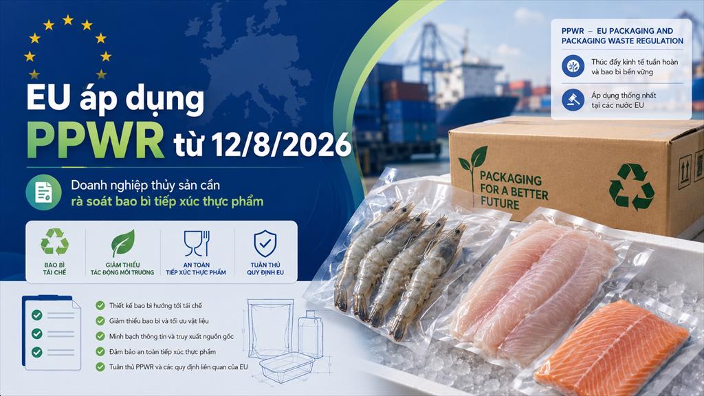 PPWR chính thức áp dụng tại EU Doanh nghiệp thủy sản cần lưu ý gì từ 1282026