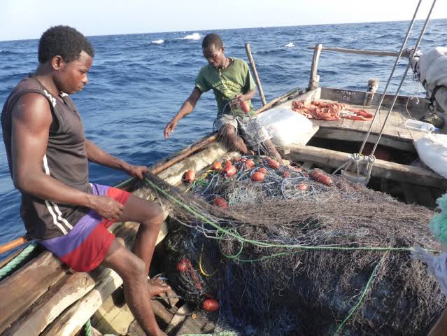 Zanzibar đẩy mạnh phát triển kinh tế biển, tăng đầu tư cho ngành thủy sản
