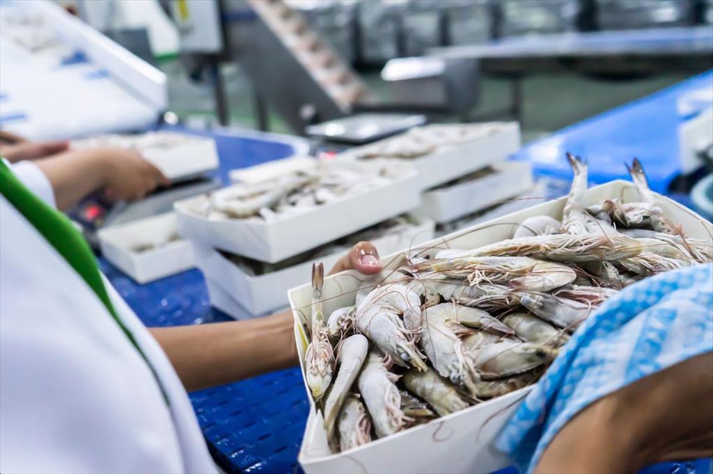 Vietnam emerges as key seafood supplier to China’s $20 billion market