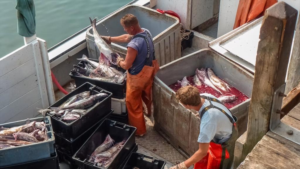 NOAA công bố ưu tiên thúc đẩy vị thế thống trị của thủy sản Mỹ