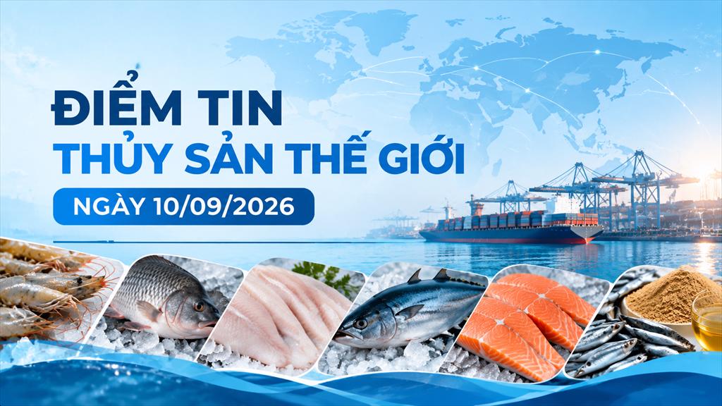 Điểm tin thủy sản thế giới ngày 10092026