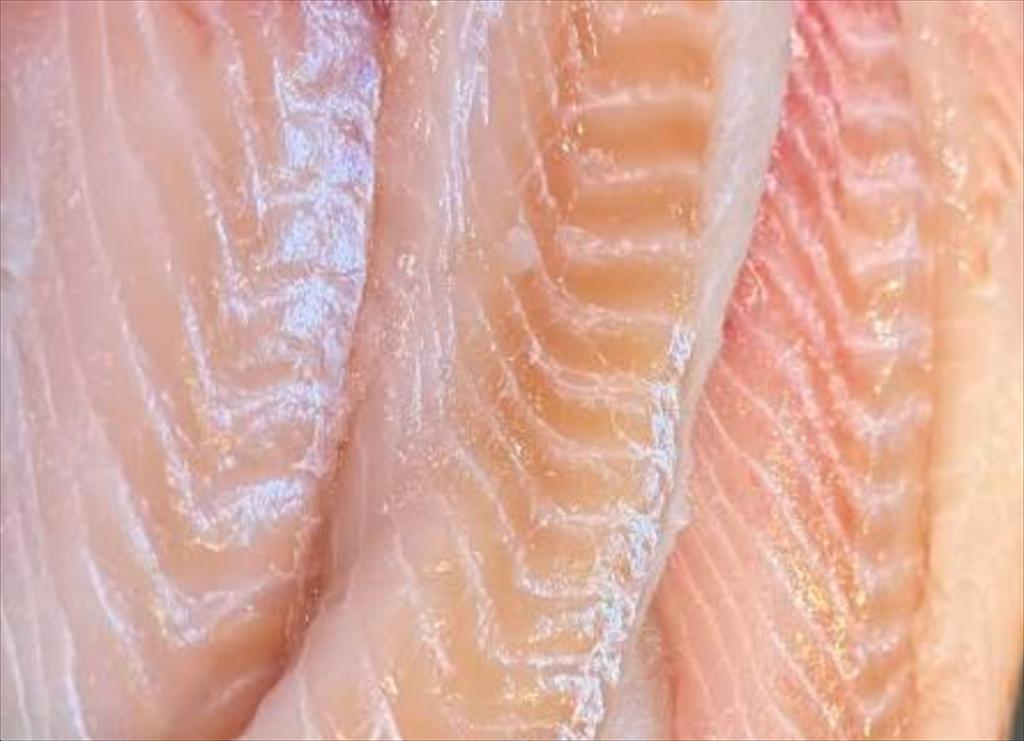 Hàn Quốc xuất kho lượng lớn cá minh thái 