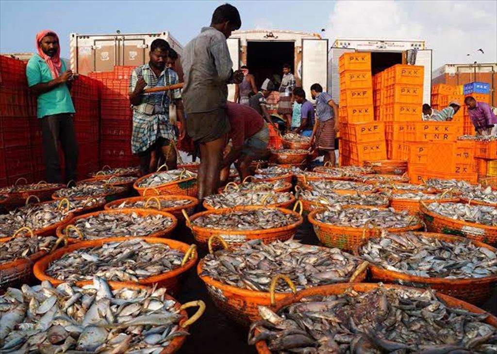 Ấn Độ, Sri Lanka cần xử lý thận trọng tranh chấp nghề cá 