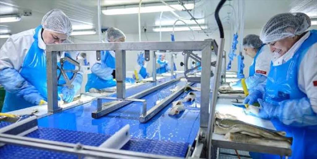 Đức trở thành trung tâm đổi mới công nghệ nuôi cá hiện đại