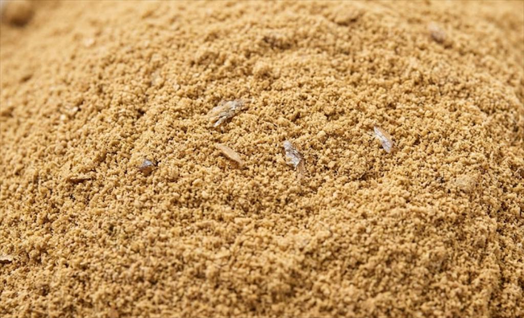 Báo cáo cảnh báo sản xuất bột cá liên quan đến sự suy giảm các loài cá chủ chốt tại Guinea-Bissau