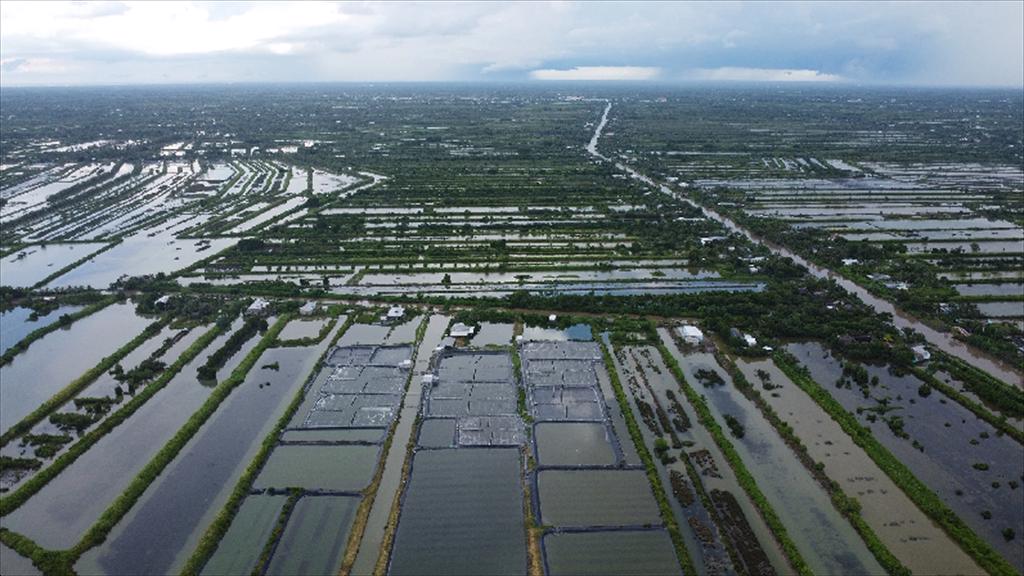 Mời tham dự Diễn đàn Đối tác công tư (PPP) thúc đẩy Kinh tế Tuần hoàn ngành Tôm khu vực Đồng bằng sông Cửu Long