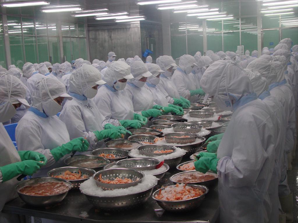 VASEP góp ý Dự thảo Nghị định sửa đổi, bổ sung một số điều về thủ tục hành chính và điều kiện kinh doanh tại Nghị định số 412026NĐ-CP