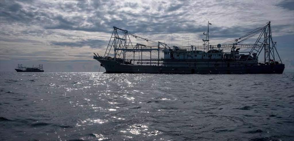 Somalia đề nghị FAO tăng hỗ trợ kỹ thuật chống khai thác IUU