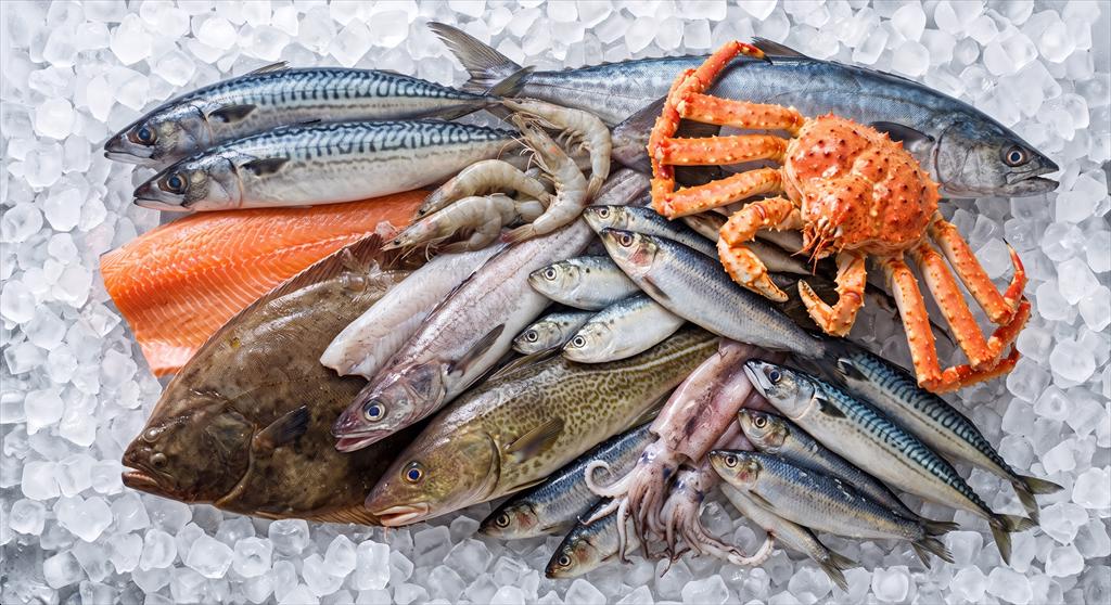 Ngành thủy sản Mỹ kêu gọi EU cải cách hệ thống CATCH