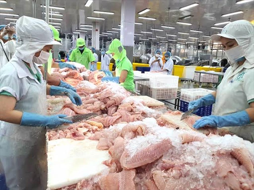 Cá tra Việt Nam mở thêm cơ hội tại Nhật Bản và các thị trường CPTPP