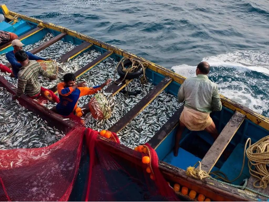 Ấn Độ và Seychelles nghiên cứu ứng dụng AI, công nghệ số trong quản lý nghề cá