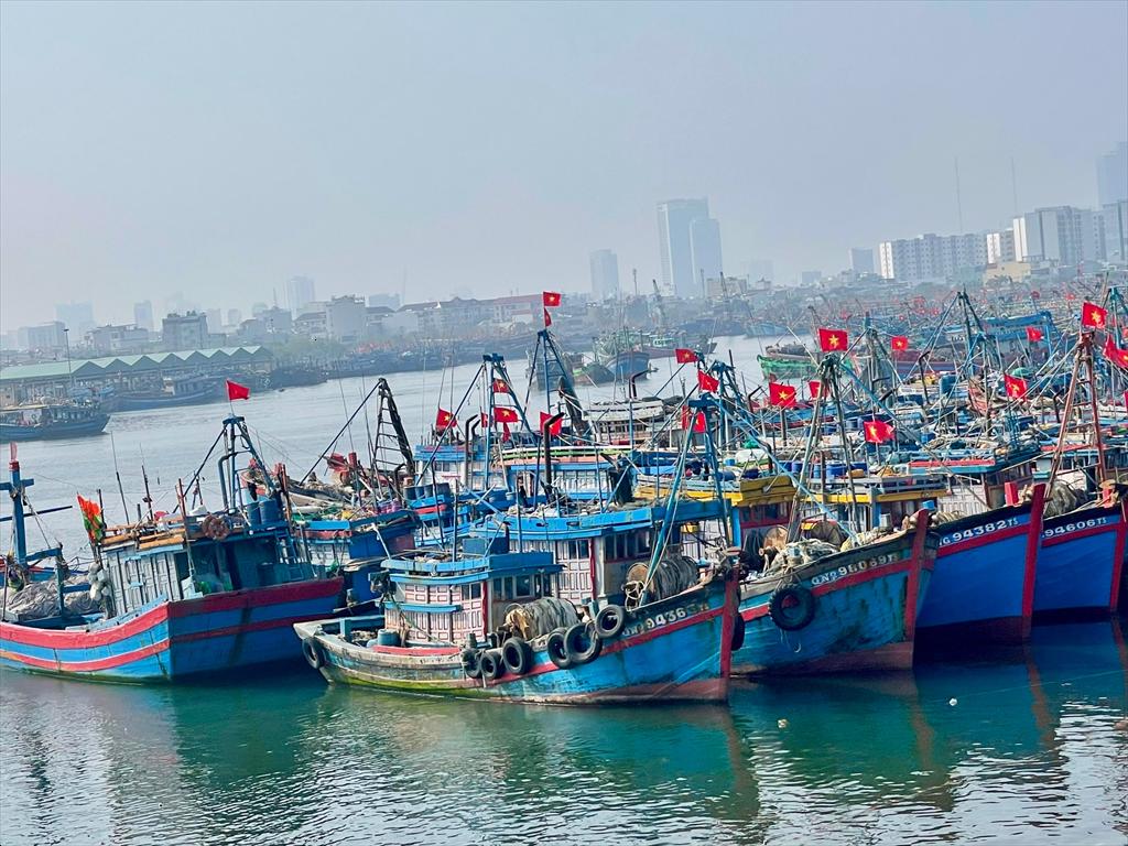 Ninh Binh determined not to have IUU fishing violations left unresolved