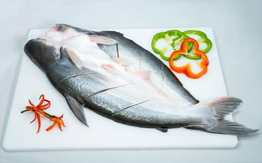 Vietnamese pangasius expands opportunities in Japan and CPTPP markets