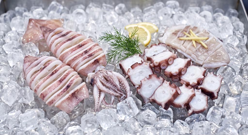 Vietnam’s squid and octopus exports accelerate, bringing opportunities and growing pressure
