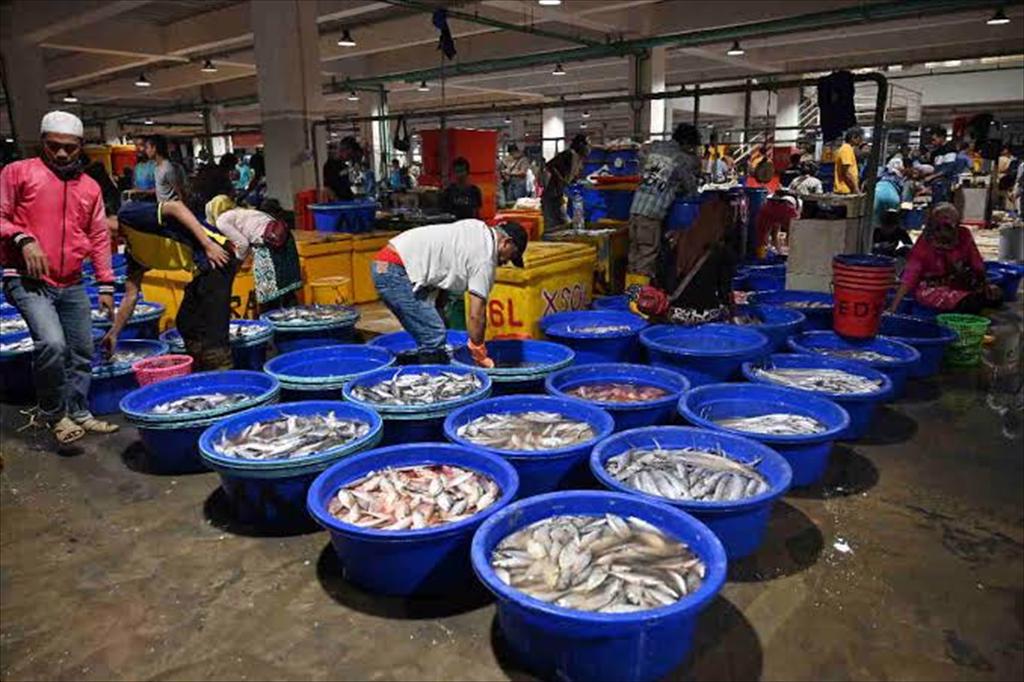 Xuất khẩu thủy sản Indonesia mở rộng tới 152 quốc gia, vùng lãnh thổ