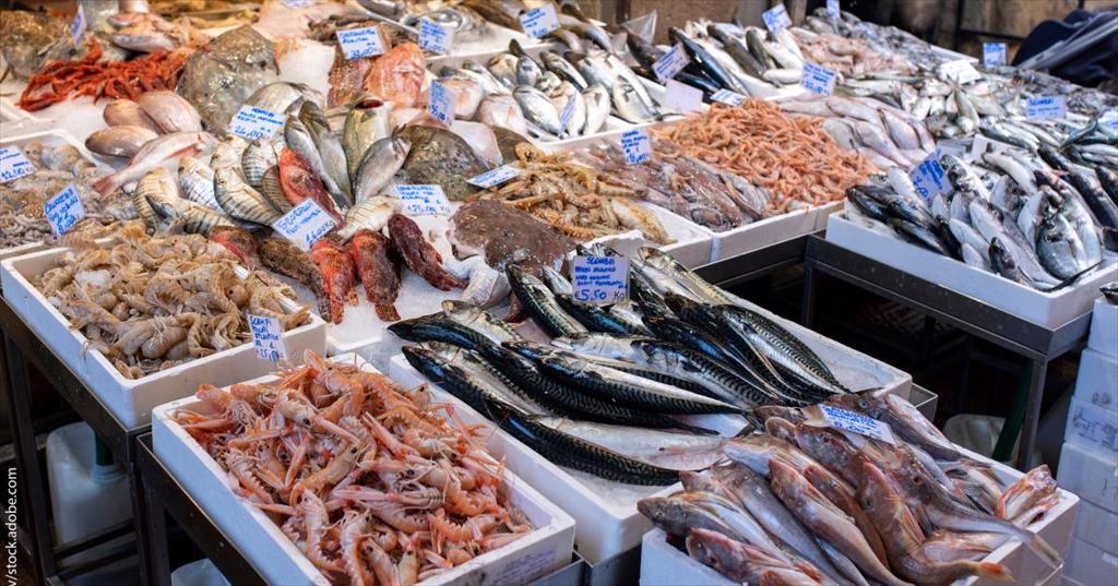EU nhất trí khung hỗ trợ thủy sản giai đoạn 2028-2034