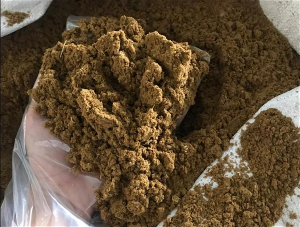 Na Uy đầu tư mở rộng nghiên cứu thức ăn thủy sản