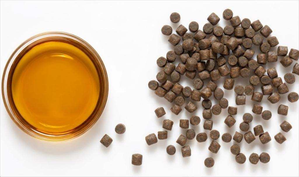 Phụ phẩm sản xuất Omega-3 Giải pháp kinh tế thay thế dầu cá trong thức ăn thủy sản