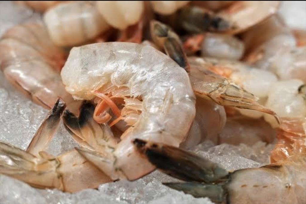 Mỹ Hiệp hội Tôm Louisiana kêu gọi siết nhập khẩu để bảo vệ ngành tôm nội địa